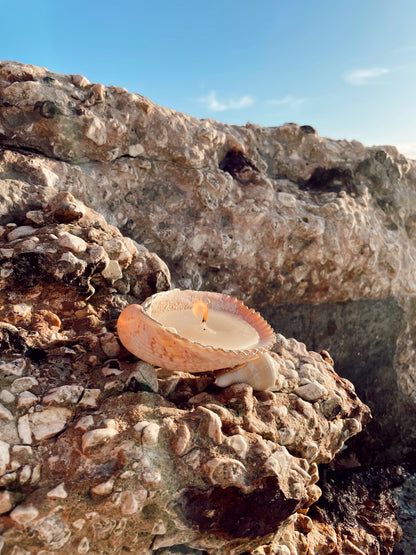 The Seashell Candle