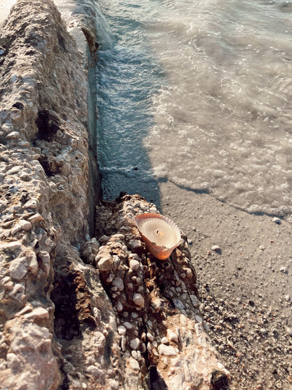 The Seashell Candle